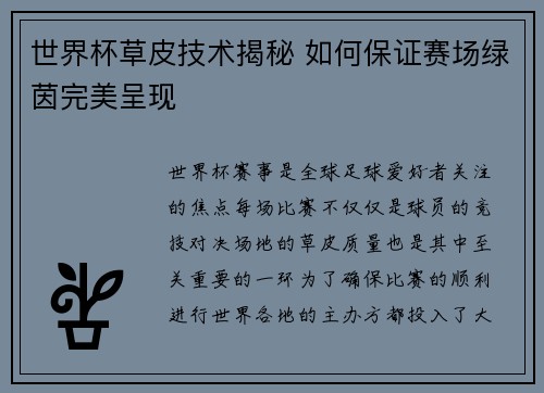 世界杯草皮技术揭秘 如何保证赛场绿茵完美呈现